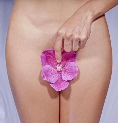 Orchids