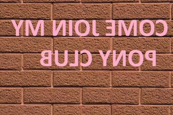 ПРИСОЕДИНЯЙТЕСЬ К МОЕМУ ПОНИ КЛУБУ