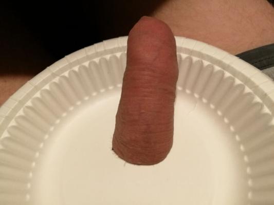 Dinner on a plate (cbt)