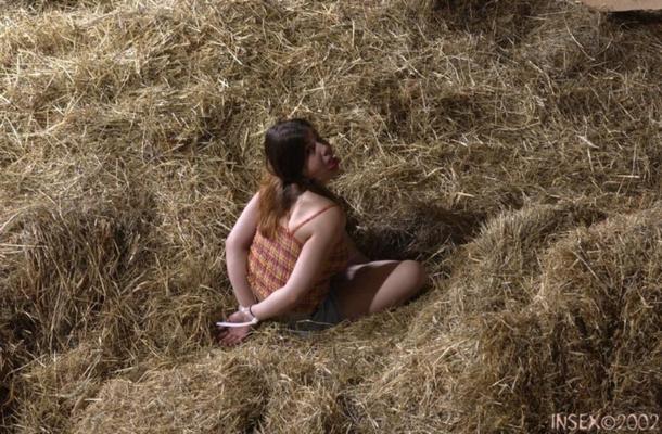 Insex 1203 alias Piglet - Pig Farm
