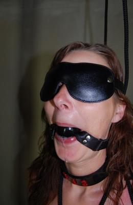 Training My New Slave