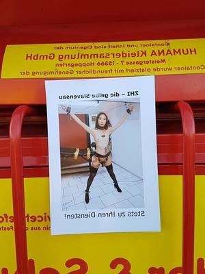 Gelber Schlitz Drecksau Zhi - Poster oeffentlich ausgehaengt