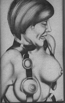 デムロットBDSMアート