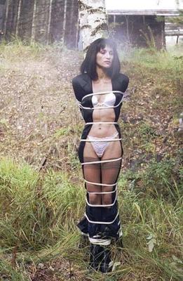 Abandoned in the woods