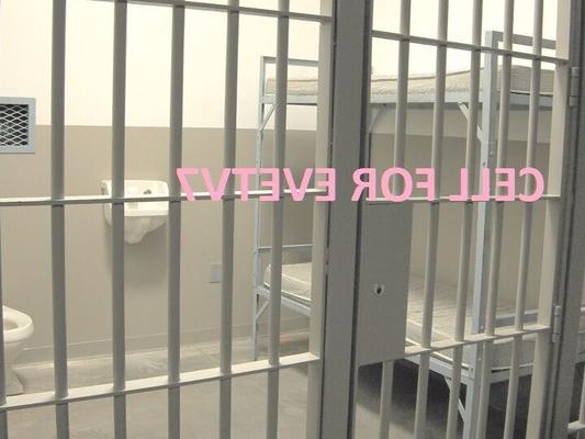 CELL FOR EVETV7