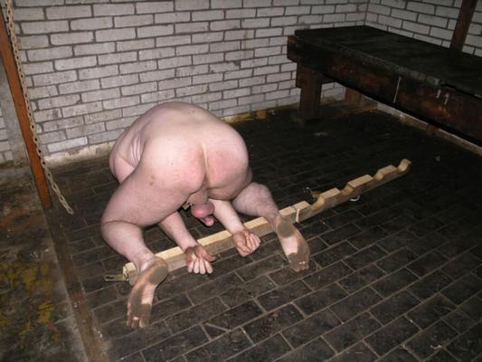 Частокол