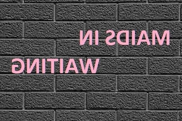 СЛУЖАНИЦА В ОЖИДАНИИ