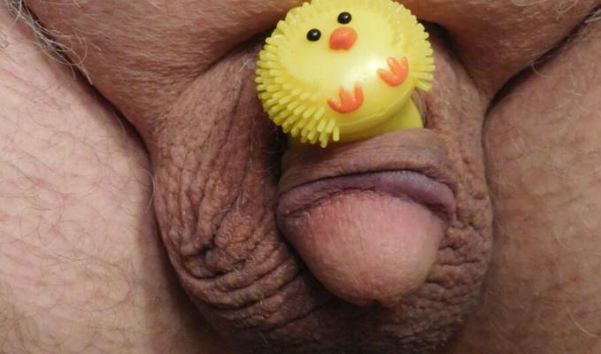 Blinkendes Küken
