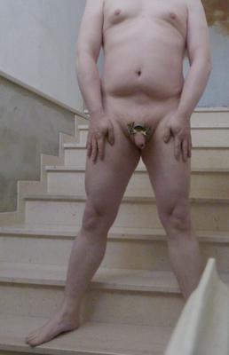 Homemade metal penis cage