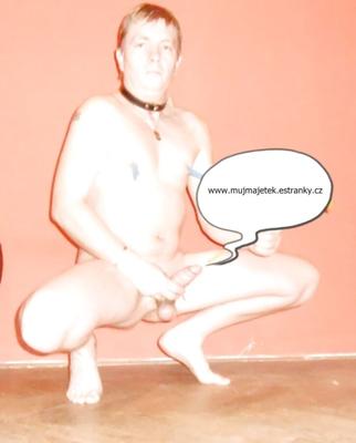 Web presentation