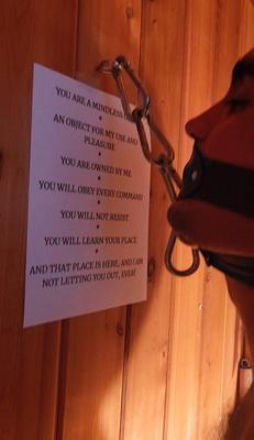 Male Submissives, 