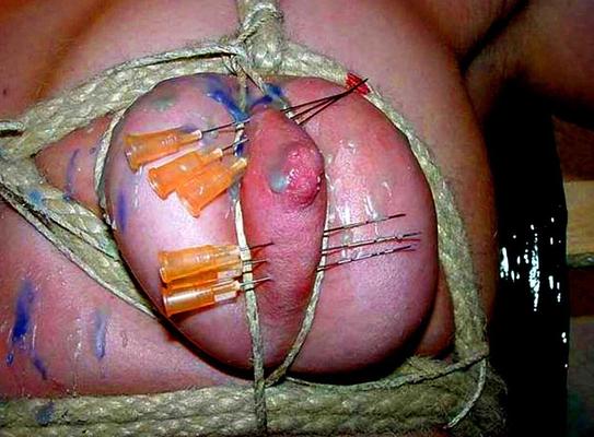 . What female udders are for Attention, not for wimps !