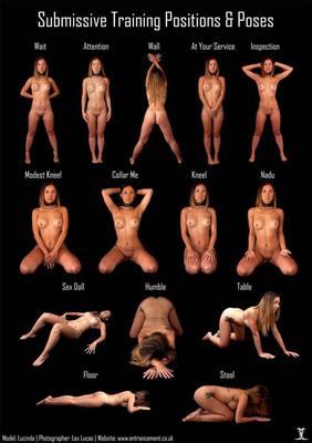 Ann Submissive Training Material