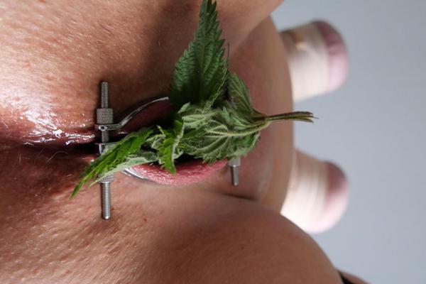 Fette Dumme Sklavensau Sessions Bilder